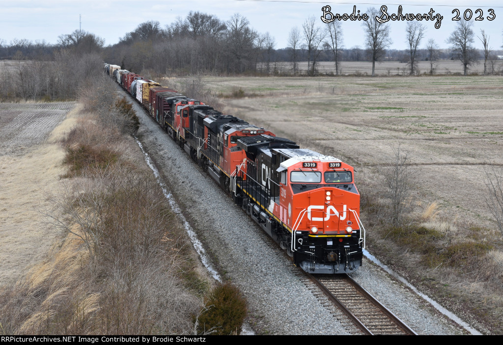 CN 3319